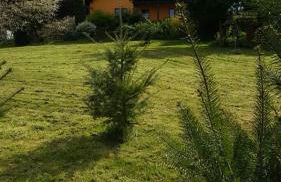 Sylvias Ranch - Foto 14