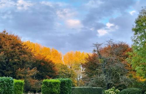 Domaine des Chanoines blancs - Foto 53