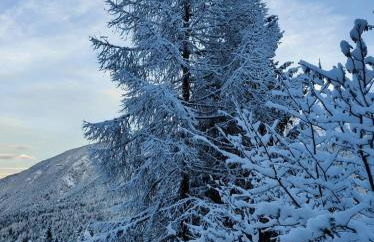 Appartamento I Larici - Foto 29