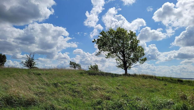 8 Person Holiday Home in Olsted-by Traum - Foto 3