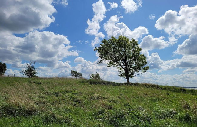 8 Person Holiday Home in Olsted-by Traum - Foto 3