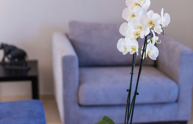 Apartment Gabriel - Foto 14