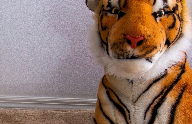 3 Bedroom Home With Private Screened Pool With Rock Waterfall Feature and Gameroom by Florida Dream Homes - Foto 46