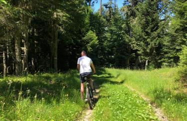 Chalet Le Doux Si, Large Self-Contained Apartment, 2km from Doucy-Combelouvière and close to Valmorel - Foto 33