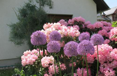 Privathaus Wehle - Photo 12