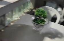 Casa para carnaval - Foto 2