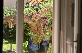 Légèreté aux Mûriers - Foto 9