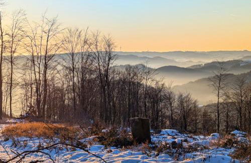 Ferienwohnung im Schwedenhaus - Foto 23