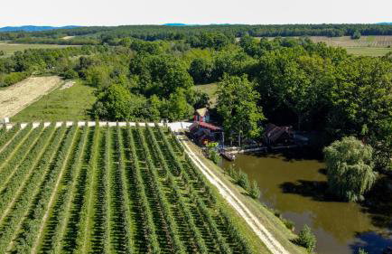 Kuća za odmor Nikol - Foto 11