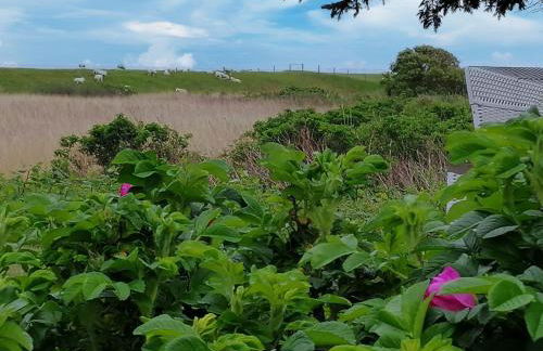 Ferienwohnungen Peters - Foto 5