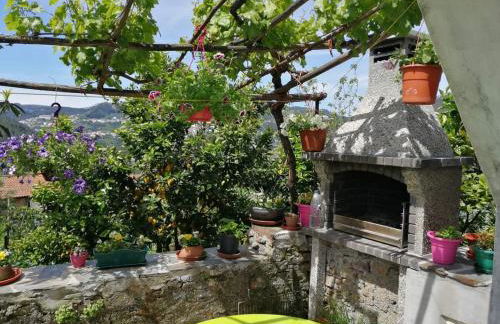 Casinha da Sobreira - Foto 25