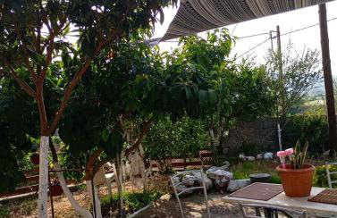 Mojo Art House - Foto 27