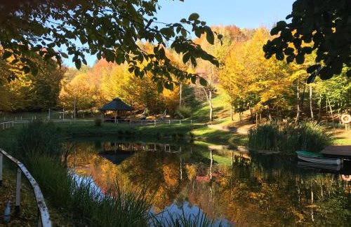 Leśniczówka domek balia sauna jeziorka w lesie na wyłączność - Foto 18