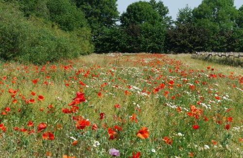 Deelenwohnung - Foto 20