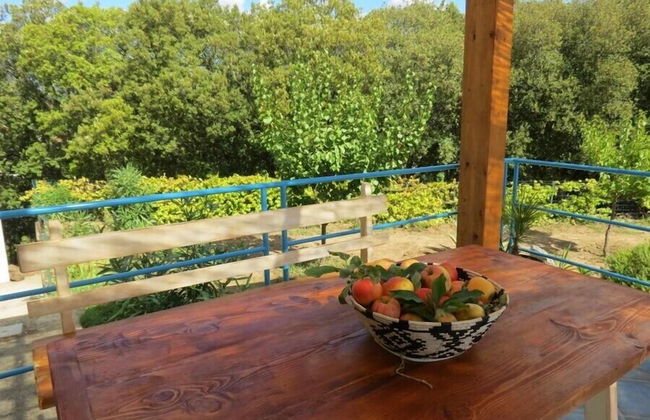 Tenuta Taddore - Foto 14