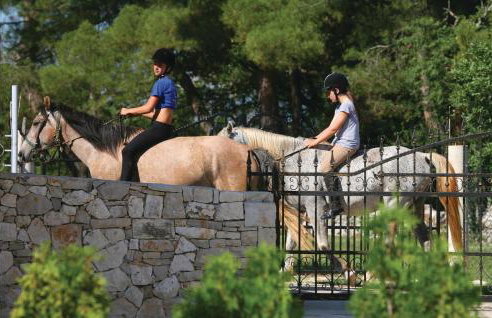 Holiday Home Manjadvorci Manjadvorci - Foto 36