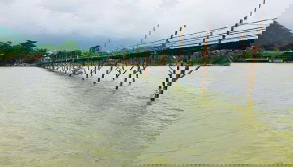 Tour en bicicleta por el paso de Da Lat - Foto 4