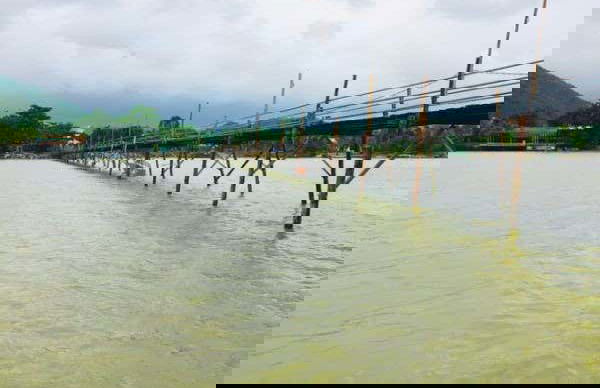 Da Lat Pass Bike Tour - Photo 4