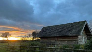 The Hat's Hut - Foto 5