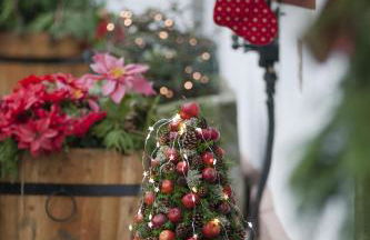 Altes Forstamt im Teutoburger Wald-Fewo Hofgarten - Foto 18