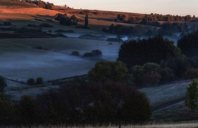 Nice Apartment in Daun-waldkonigen - Photo 14