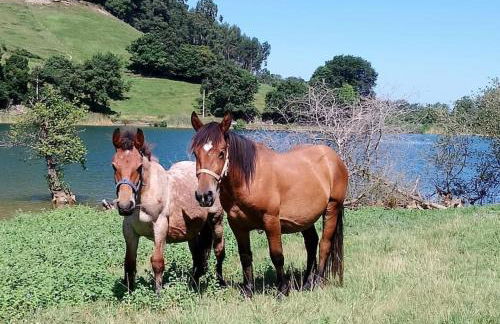 PequeñoCabárceno - Foto 25