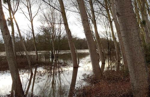 Maison charmante avec grand jardin à Noyers-sur-Cher, PMR - Photo 34
