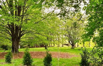 Cozy Riverside View House - Foto 12