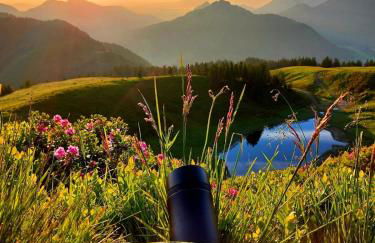 Alpenrose Appartements - Foto 27