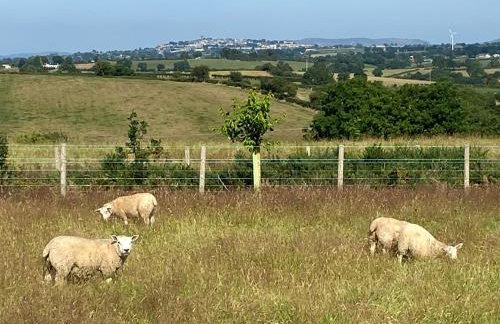 Bramble Cottage - Foto 19