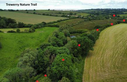 Bowgie at Trewerry Cottages - Away from it all, close to everywhere - Foto 13