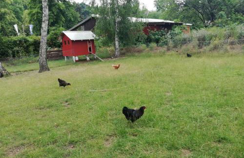 Das kleine Haus - Foto 24