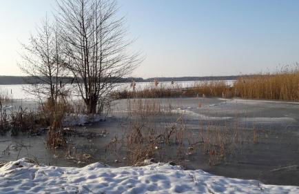 Ferienhaus am Birkenwaeldchen - Motzener See 150m - Foto 53