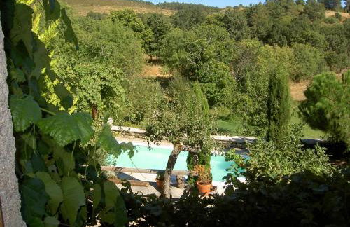 A Lagosta Perdida - Foto 34