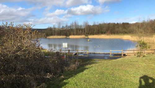 Eluneds Place - Photo 4