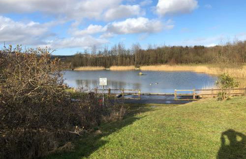 Eluneds Place - Photo 4