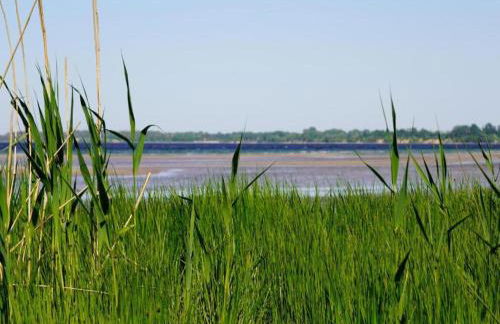 Moderne Ferienwohnung in Kluetz in Strandnahe - Foto 152