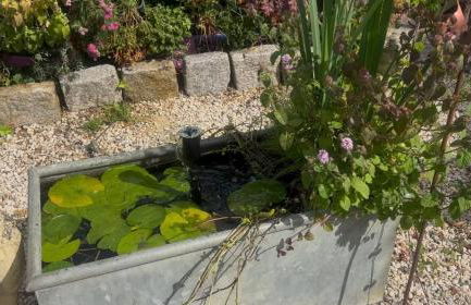 The Little Red Lion Thorpe - Foto 15