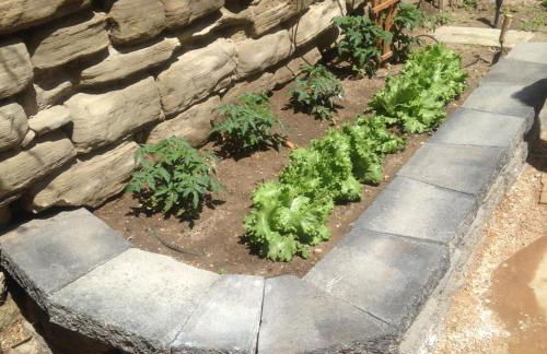 Tara House - Foto 15