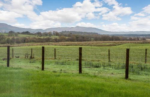 Fiadh Ruadh-Uk40008 - Foto 34