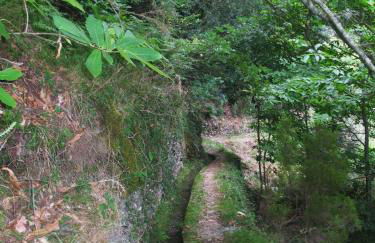 Casa da Cerejinha - Foto 25