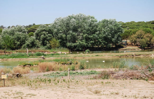 Vivienda Rural el Retorno - Foto 50