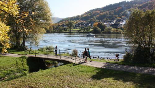 Fewo-am-Rotheschbach - Foto 5