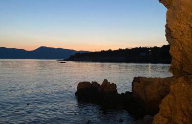 M Plus Residence - Photo 3