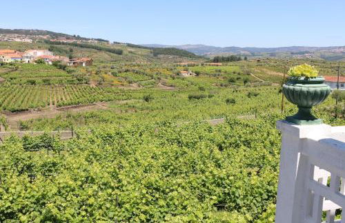 Solar dos Avós - Foto 36