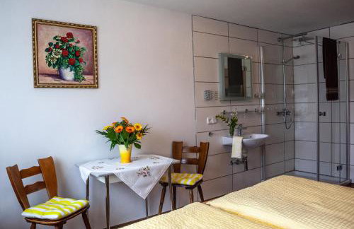 Ferienwohnungen Ludwigsthal - Foto 12