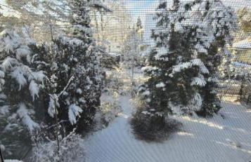 Ferienhaus Sanssouci - Foto 30