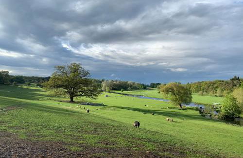 Hertford farm Woodland cabin pet friendly firepit bbq - Foto 27
