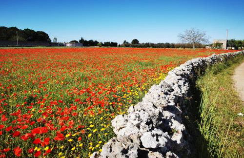 Villa Mios - Foto 21