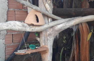 cantinho bom - Foto 8